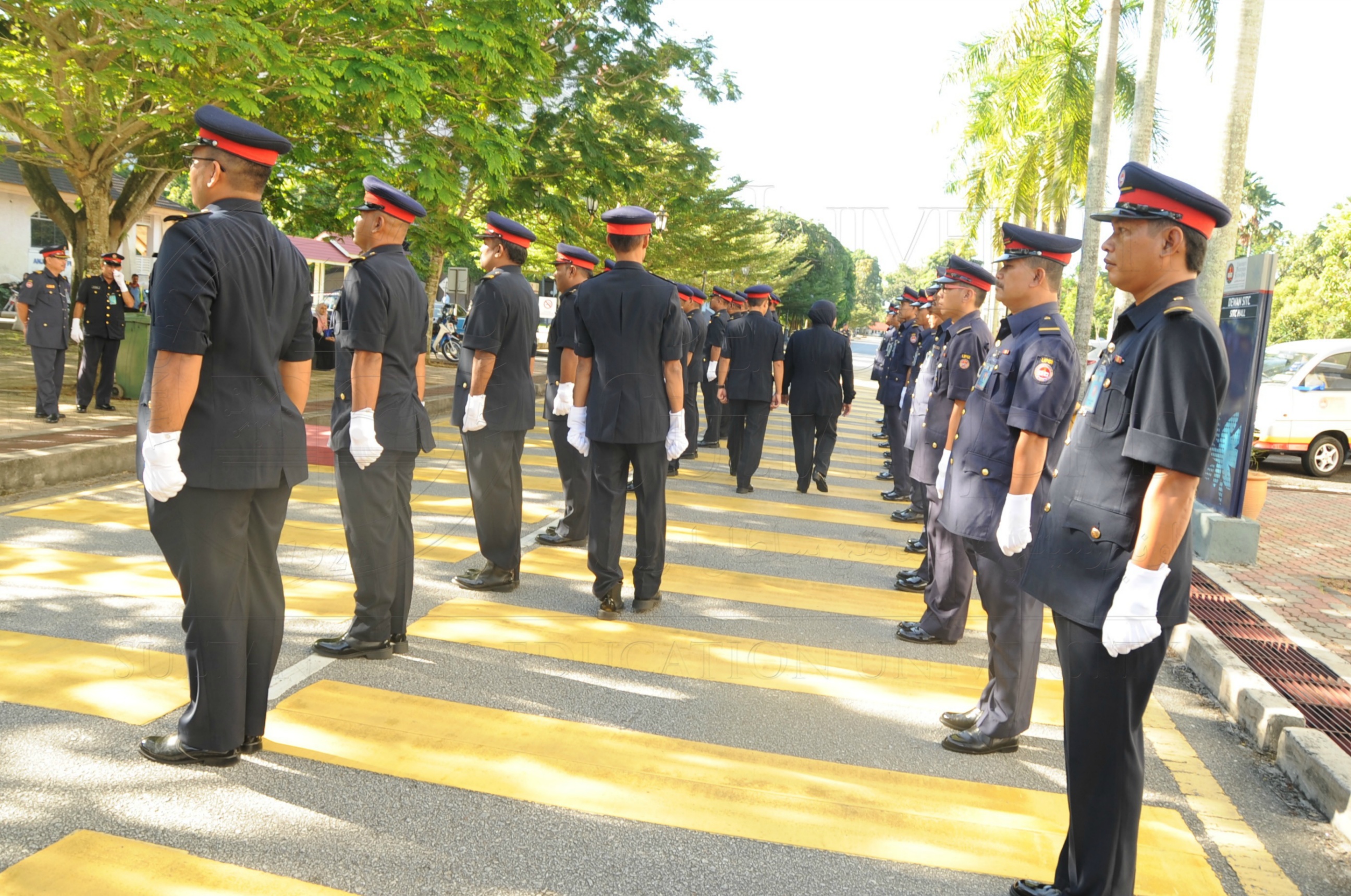 PRO 16 6 AMANAT VCHAS 8398